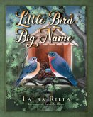 Little Bird-Big Name