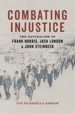 Cover Combating Injustice (eBook, ePUB)
