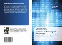 Multiscale study of magnetic nanovectors - Maraloiu, Valentin-Adrian; Blanchin, Marie-Genevieve