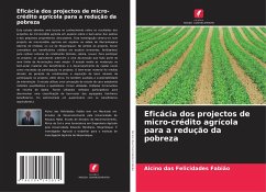 Eficácia dos projectos de micro-crédito agrícola para a redução da pobreza - Fabião, Alcino das Felicidades