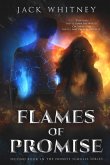 Flames Of Promise