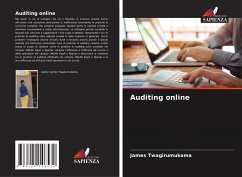 Auditing online - Twagirumukama, James