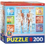 Eurographics 6200-1000 - Der menschliche Körper , Puzzle, 200 Teile