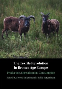 Textile Revolution in Bronze Age Europe (eBook, ePUB)