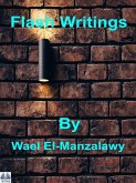 Flash Writings (eBook, ePUB)