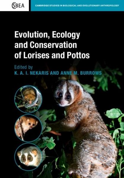 Evolution, Ecology and Conservation of Lorises and Pottos (eBook, ePUB)