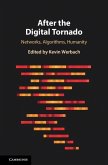 After the Digital Tornado (eBook, ePUB)