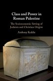 Class and Power in Roman Palestine (eBook, ePUB)