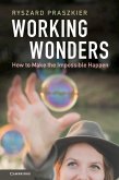 Working Wonders (eBook, ePUB)