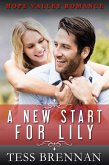 A New Start for Lily (Hope Valley Romance, #2) (eBook, ePUB)