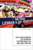 Gay and Lesbian Activism in the Republic of Ireland, 1973-93 (eBook, ePUB)
