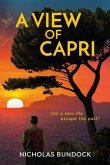 A View of Capri (eBook, ePUB)