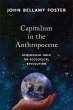 Capitalism in the Anthropocene (eBook,... - Bild 1