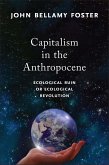 Capitalism in the Anthropocene (eBook, PDF)