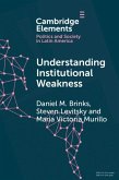 Understanding Institutional Weakness (eBook, ePUB)