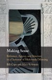 Making Sense (eBook, ePUB)