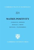 Matrix Positivity (eBook, ePUB)