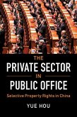 Private Sector in Public Office (eBook, ePUB)