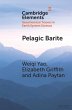 Pelagic Barite (eBook, ePUB) - Bild 1