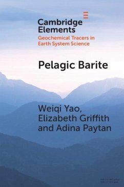 Pelagic Barite (eBook, ePUB) - Yao, Weiqi