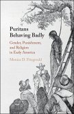 Puritans Behaving Badly (eBook, ePUB)