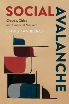 Social Avalanche (eBook, ePUB) - Borch, Christian