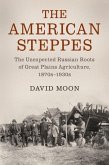 American Steppes (eBook, ePUB)