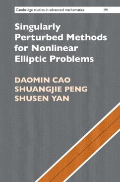 Singularly Perturbed Methods for Nonlinear Elliptic Problems (eBook, ePUB) - Cao, Daomin