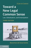 Toward a New Legal Common Sense (eBook, ePUB)