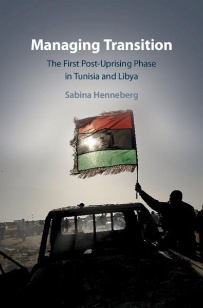 Managing Transition (eBook, ePUB)