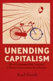 Unending Capitalism (eBook, ePUB)