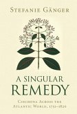 Singular Remedy (eBook, ePUB)