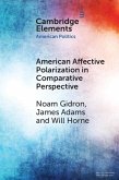 American Affective Polarization in Comparative Perspective (eBook, ePUB)