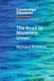 Road to Monetary Union (eBook, ePUB)
