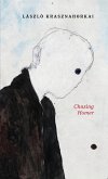 Chasing Homer (eBook, ePUB)