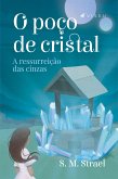 O poço de cristal (eBook, ePUB)