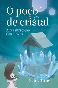 O poço de cristal (eBook, ePUB) - Strael, S. M.