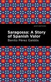 Saragossa (eBook, ePUB)