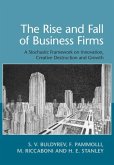 Rise and Fall of Business Firms (eBook, ePUB)