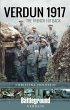 Verdun 1917 (eBook, ePUB) - Bild 1