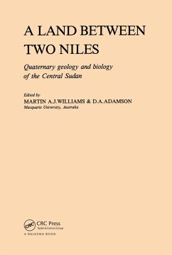 A Land Between Two Niles (eBook, PDF)