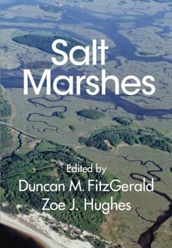 Salt Marshes (eBook, ePUB)