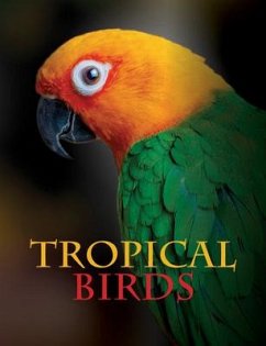 Tropical Birds - Jackson, Tom