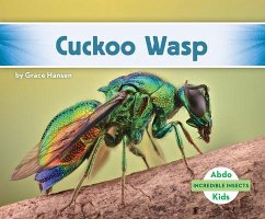 Cuckoo Wasp - Hansen, Grace