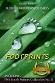 Footprints: Florida Writers Association Collection 13