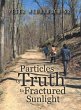 Particles of Truth in Fractured Sunlight - Bild 1