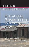 Surviving Government in a Small Town