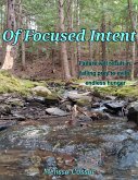 Of Focused Intent (eBook, ePUB)