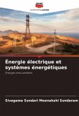 Énergie électrique et systèmes énergétiques