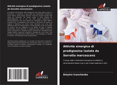 Attività sinergica di prodigiosina isolata da Serratia marcescens - Ivanchenko, Dmytro